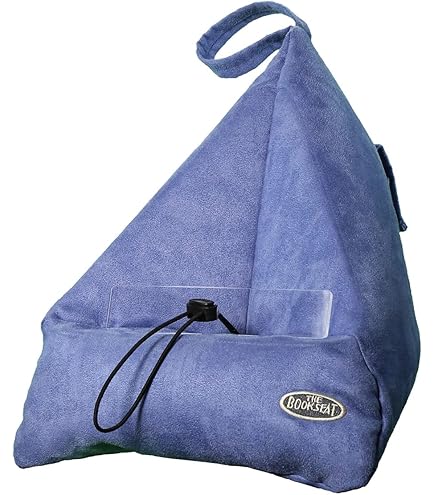 Amazon.com : The Book Seat - Aubergine Purple - The Most